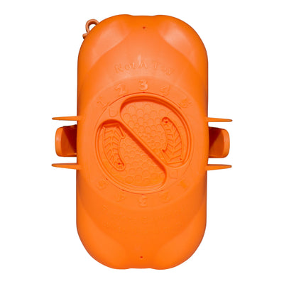 Frog Flippin' Frog XL Replacement Chlorine Cartridge Frog