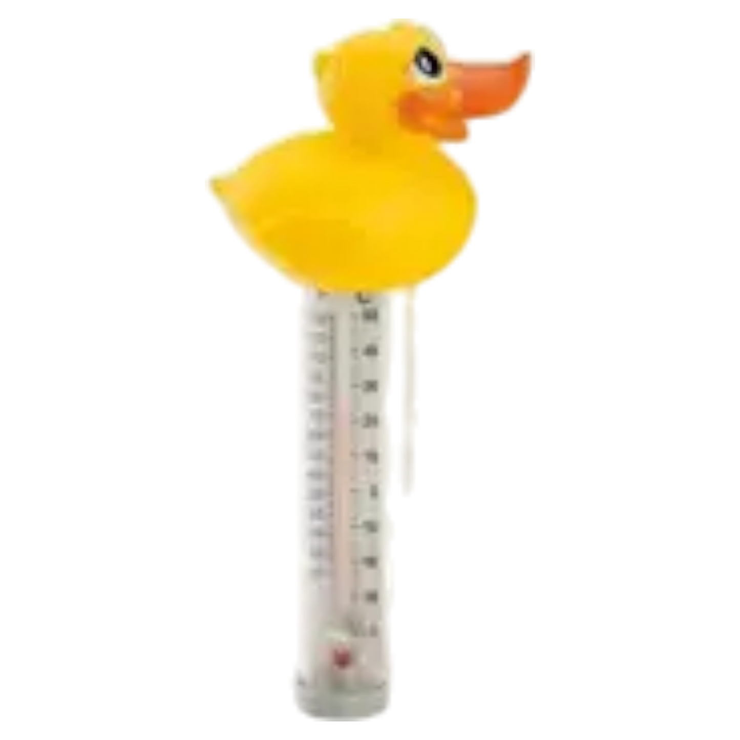 Ocean Blue Water Floating Happy Animal Thermometers, 3 Styles