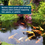 Pond Barley Extract AquaDoc