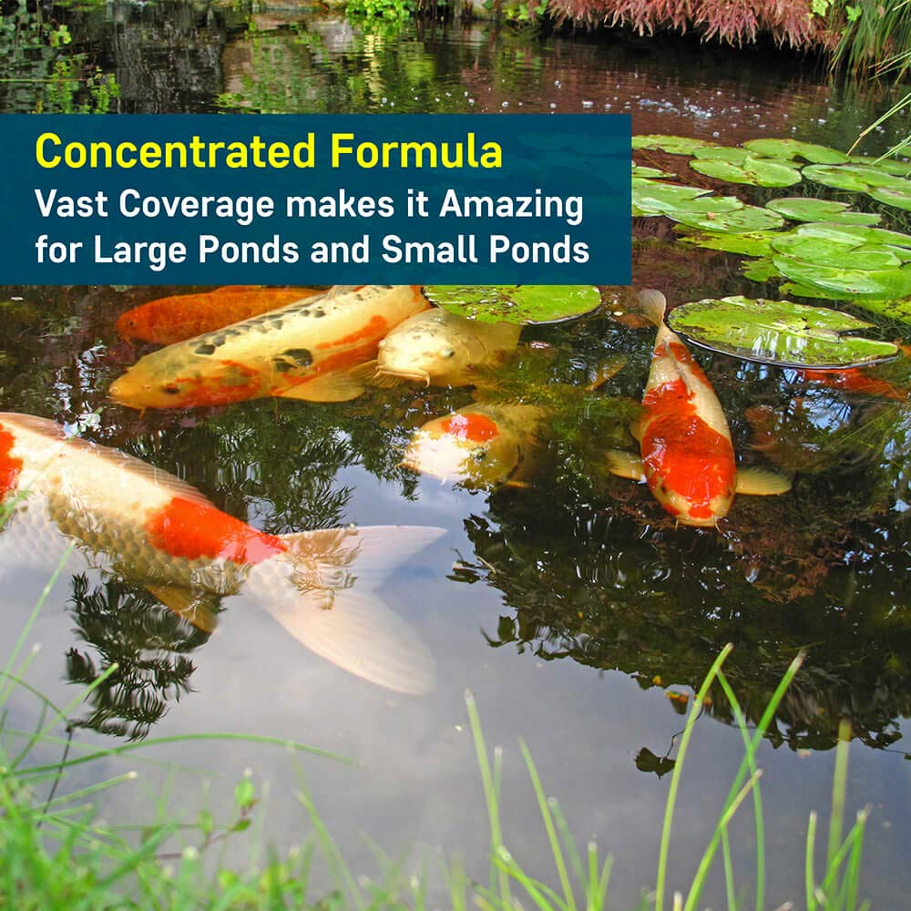 Pond Barley Extract AquaDoc
