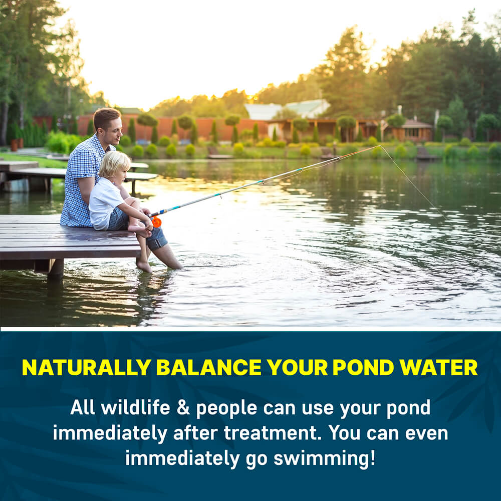 Pond Barley Extract AquaDoc