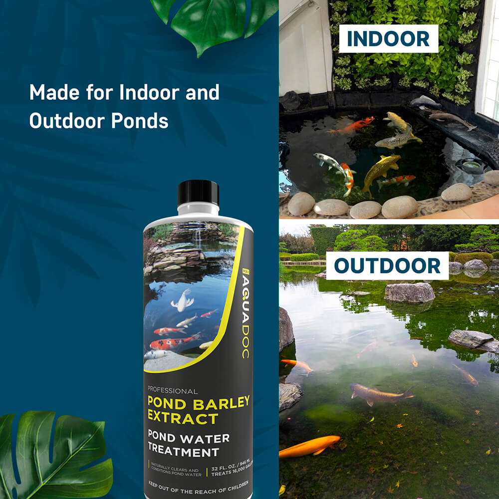 Pond Barley Extract AquaDoc