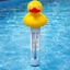 Duck Thermometer